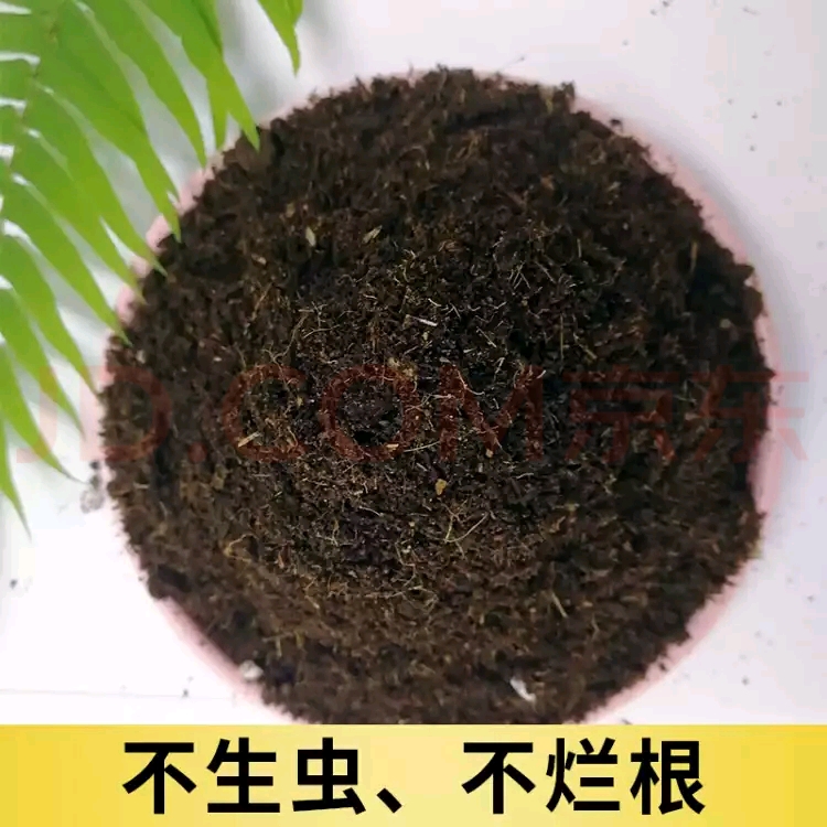  腐熟松针腐殖土天然有机营养土养花种菜土壤通用型透气腐叶种植土