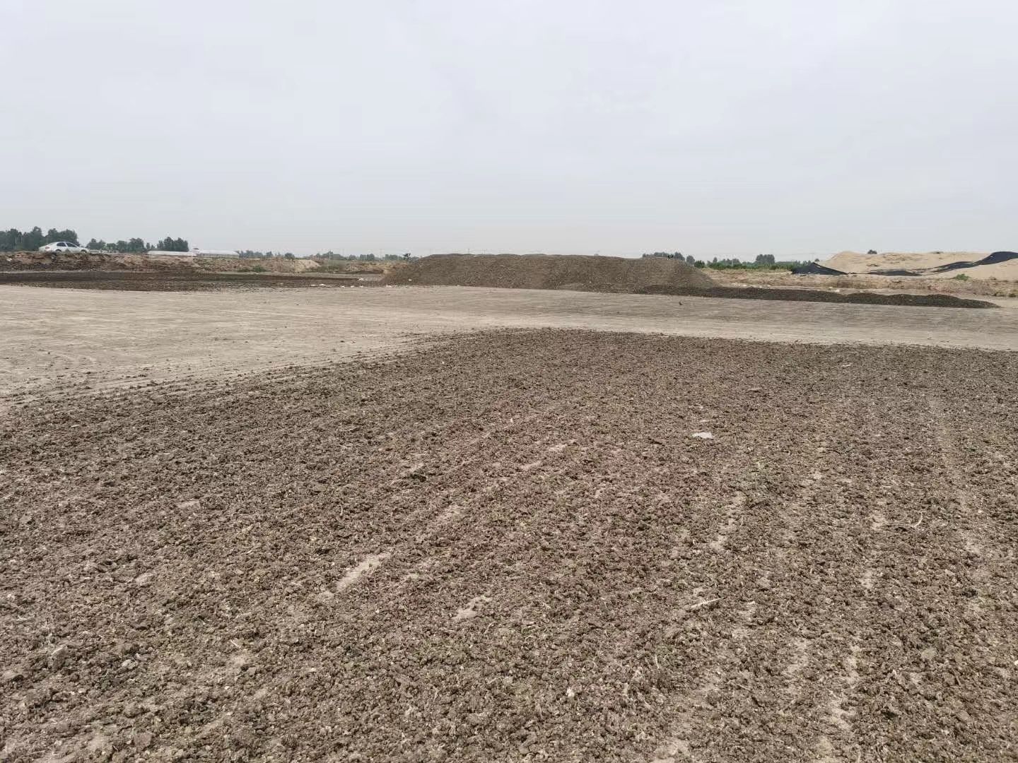 纯干鸡粪块  干鸡粪块  厂家直销  质优价廉