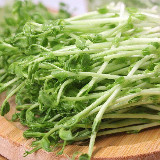 奉新县嫩豆苗 有机认证芽苗菜
