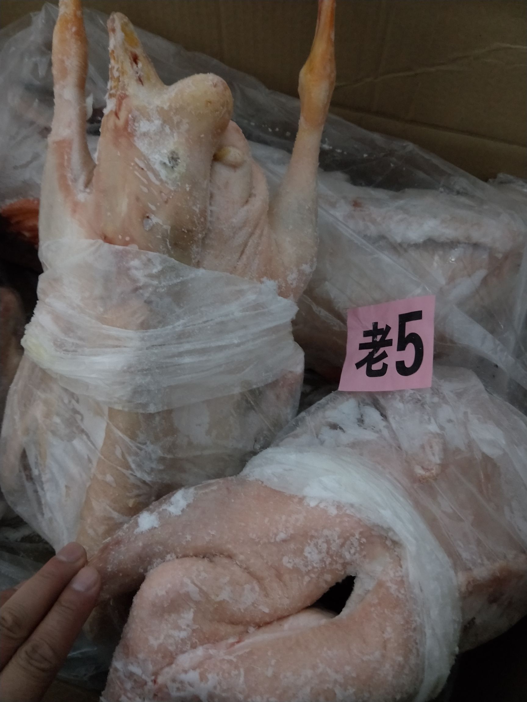 白条鹅  东北白条老鹅.仔鹅到货，130_150天中鹅，各种鹅副产品。