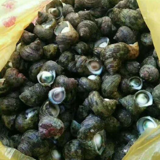 琼海市牛眼睛 水产
