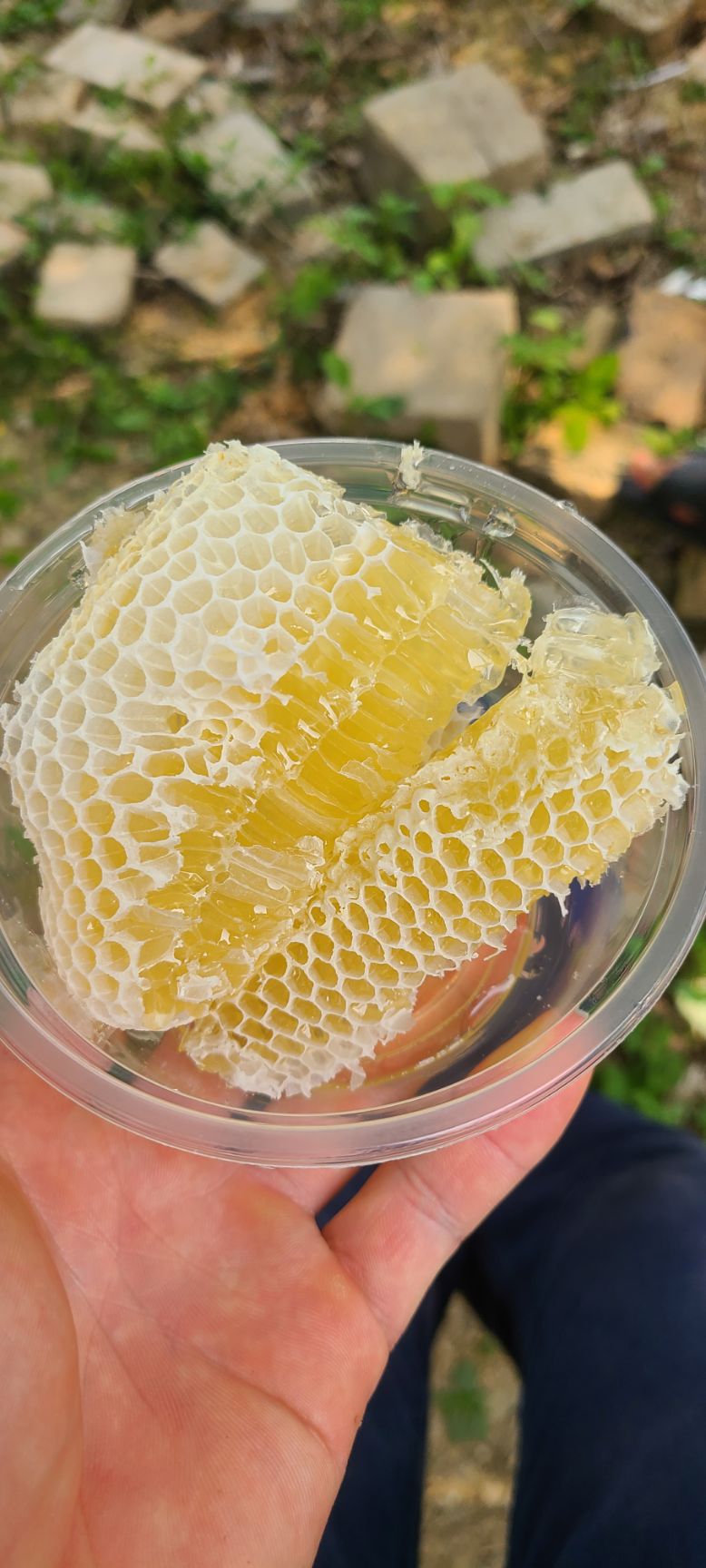 荔枝花蜂蜜的做法(荔枝蜂蜜水有什么功效)