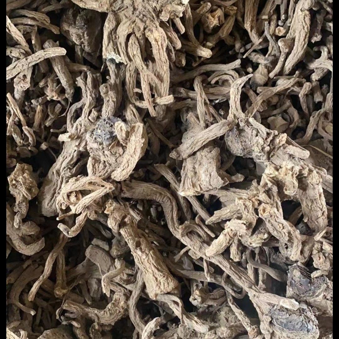  独活，牛子，木香，
