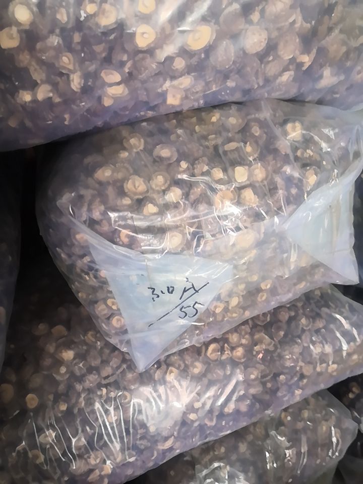光面菇  南阳产地春栽3.0干香菇，自由价廉，量大从优