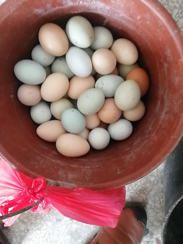 农家土鸡蛋