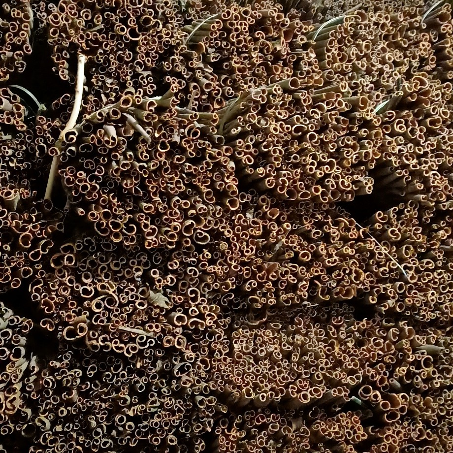 普通桂皮 广东肇庆自产桂皮，肉厚，纯干，无任何杂质，