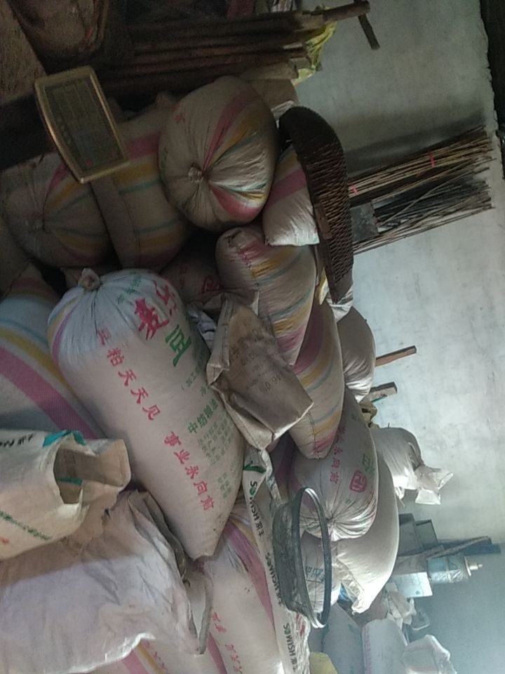 待售干玉米五千斤