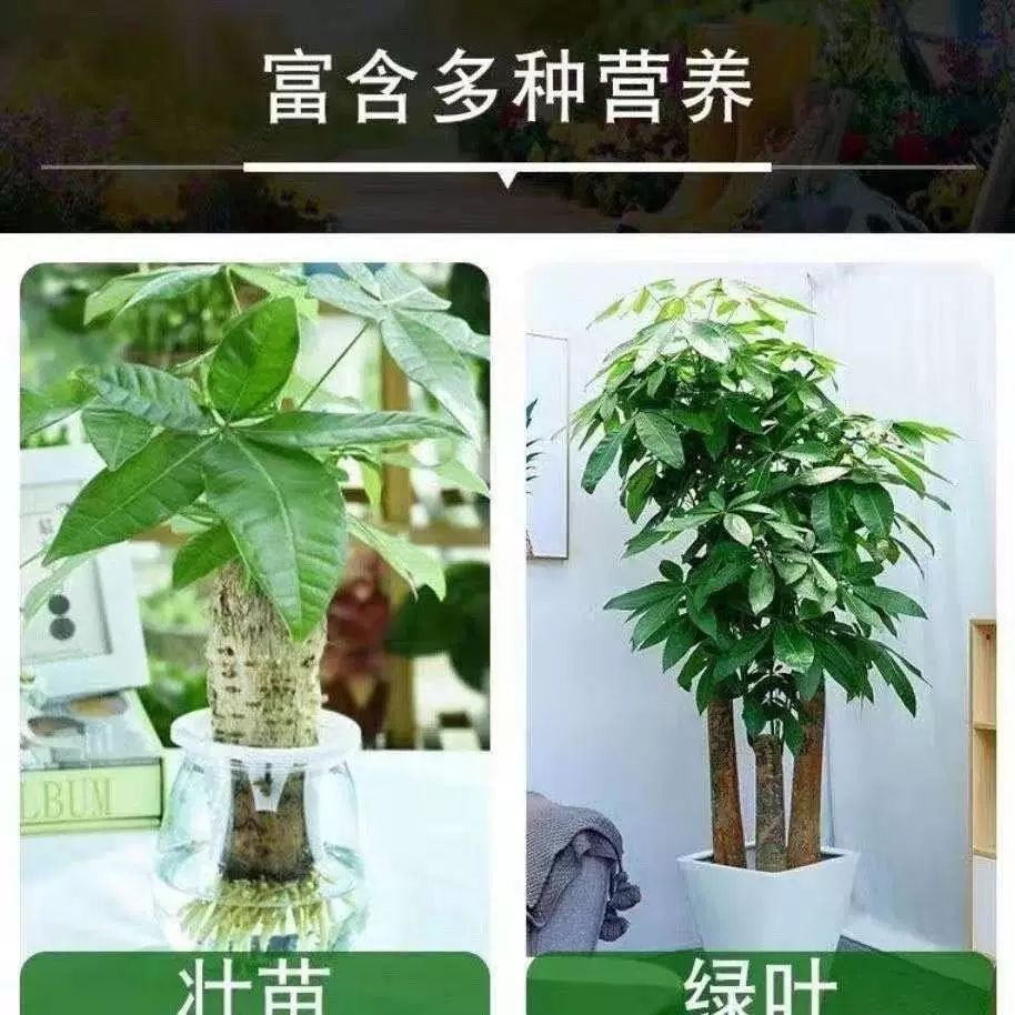 磷酸二氢钾叶面肥农用复合肥叶面肥果树蔬菜颗粒全水溶全水溶肥