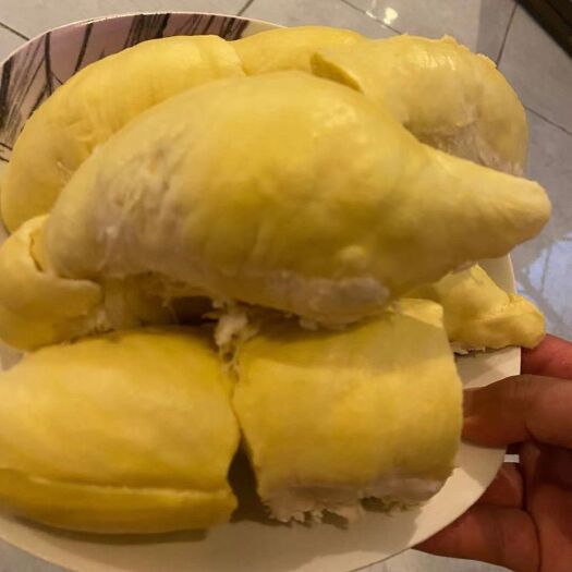 南宁榴莲 空运西安<红砂土金枕>9KG 489元顺丰包邮