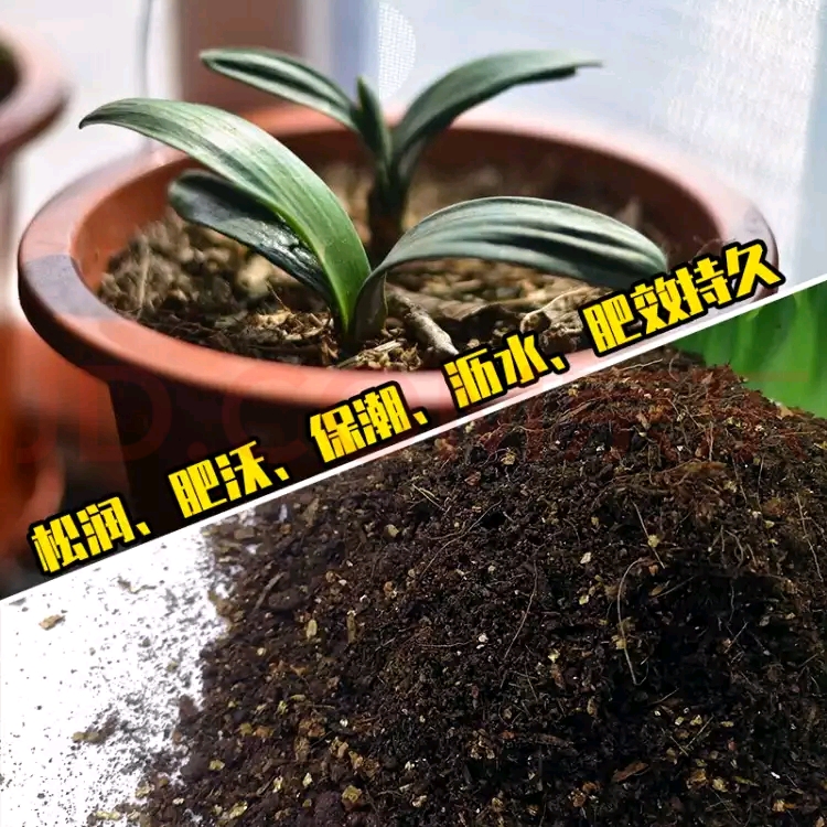  腐熟松针腐殖土天然有机营养土养花种菜土壤通用型透气腐叶种植土