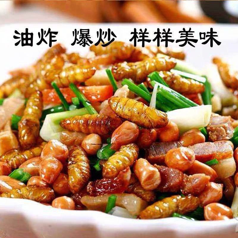 金丝蛹别名小蚕蛹，新鲜发货