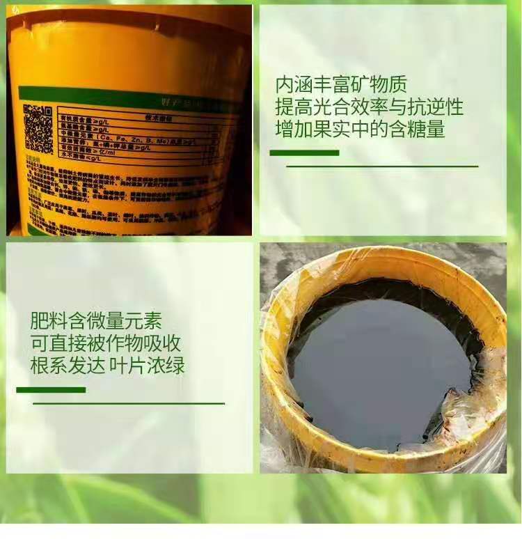 中量元素肥料  氨基酸水溶肥