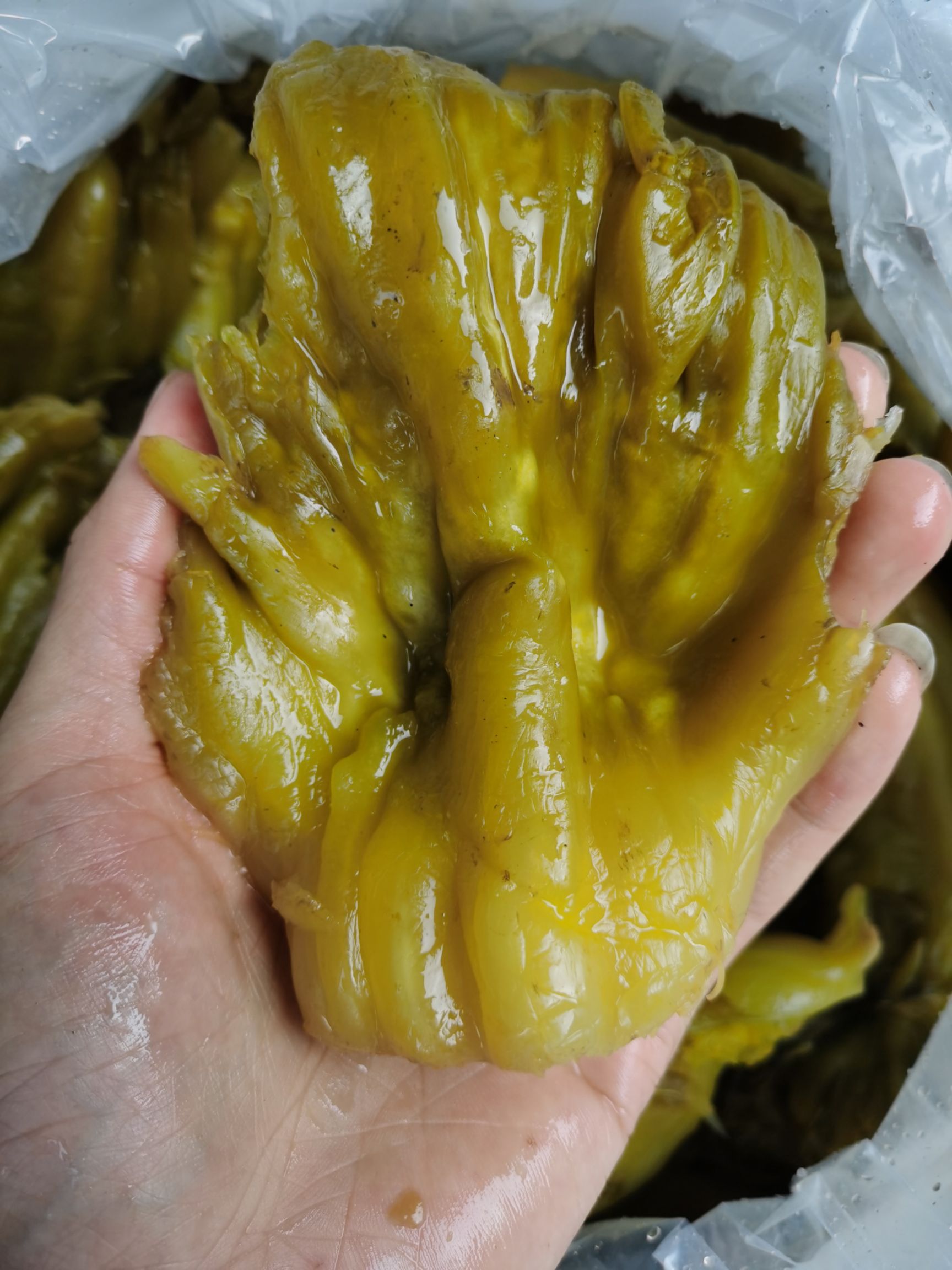 精品酸菜块