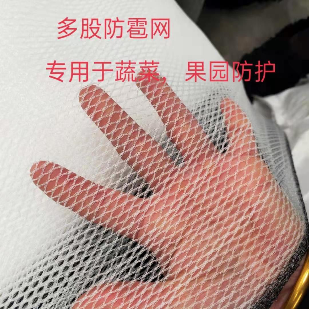 防冰雹网防鸟网苹果葡萄防雹网聚乙烯果园农田园艺无结防冰雹用品