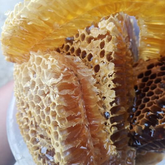 东莞市百花蜜  中蜂蜜土蜂蜜纯正天然没有任何加工波美度达到41度多达到一级蜜