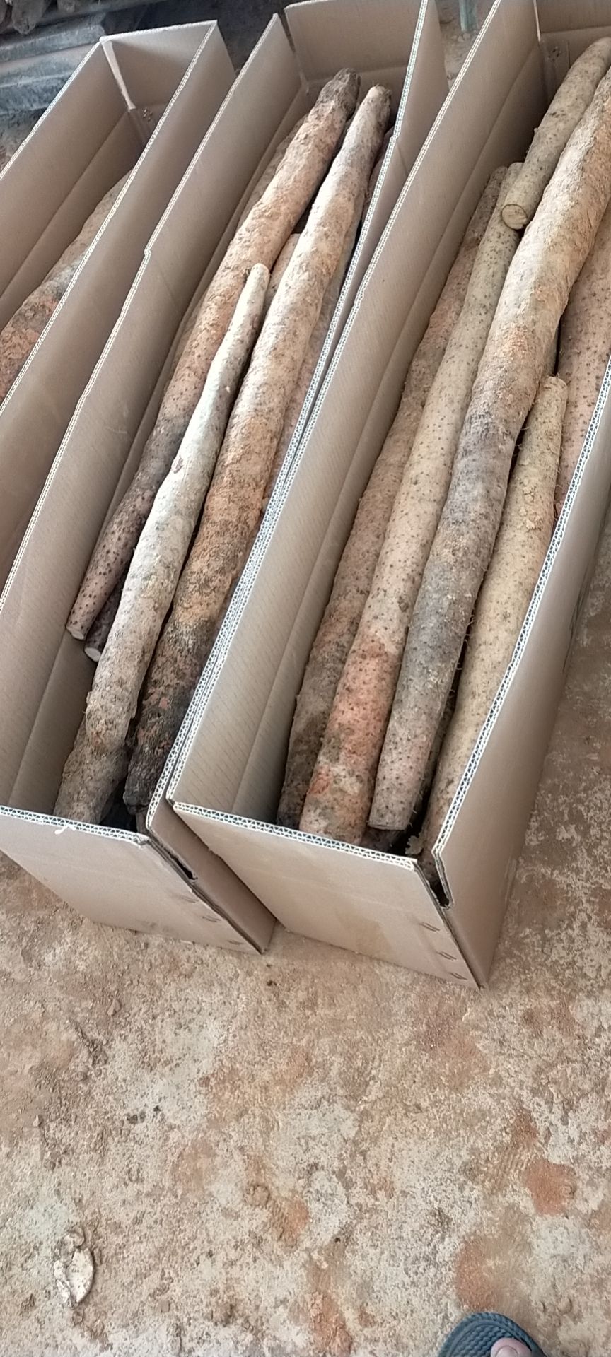 淮山药  茂名特产，高州农家种植红苗深薯