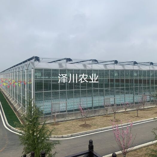 青州市温室大棚 日光温室 薄膜温室 玻璃温室