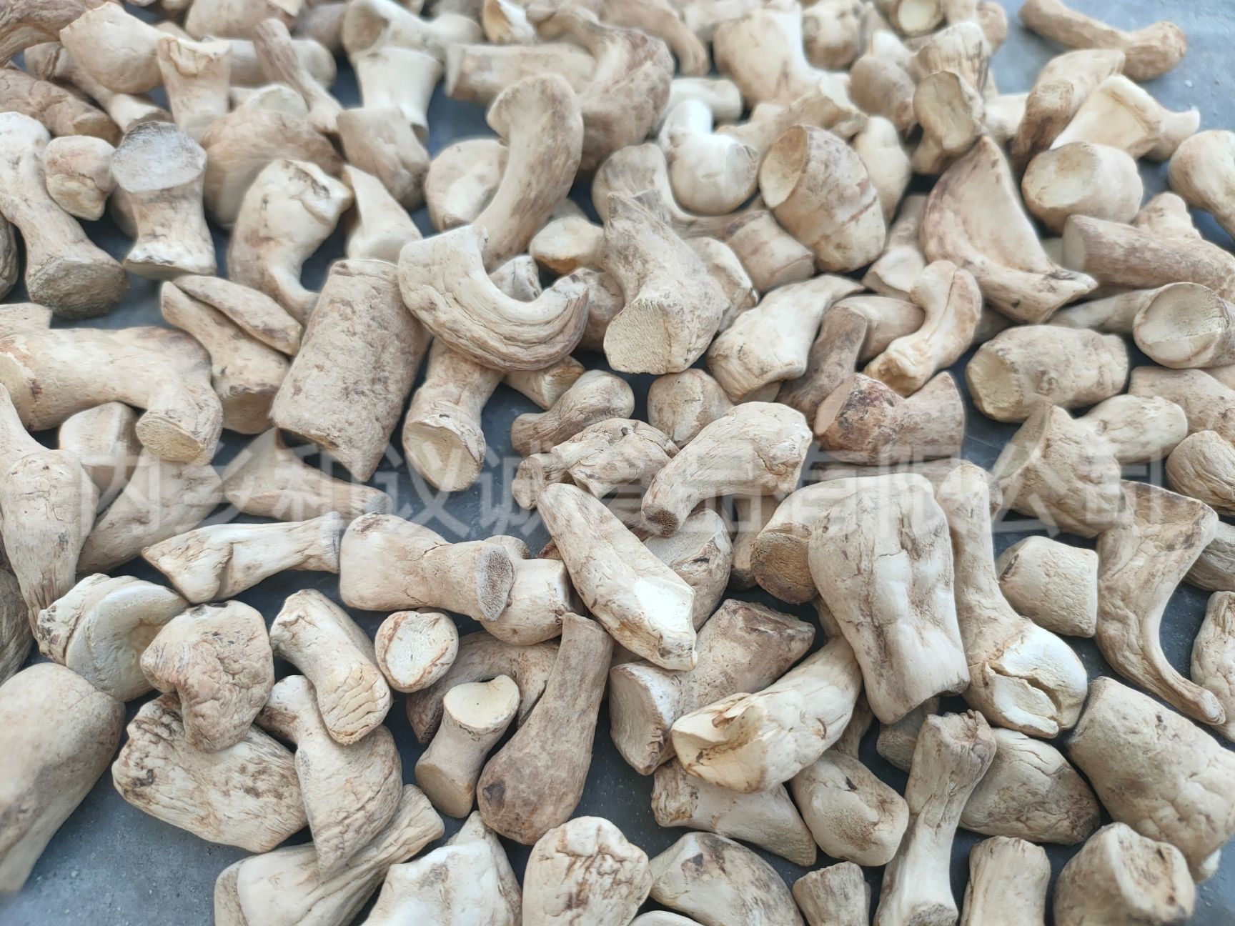 香菇脚干货长期供应香菇脚手挑货 干净无杂质98%净度厂家供应