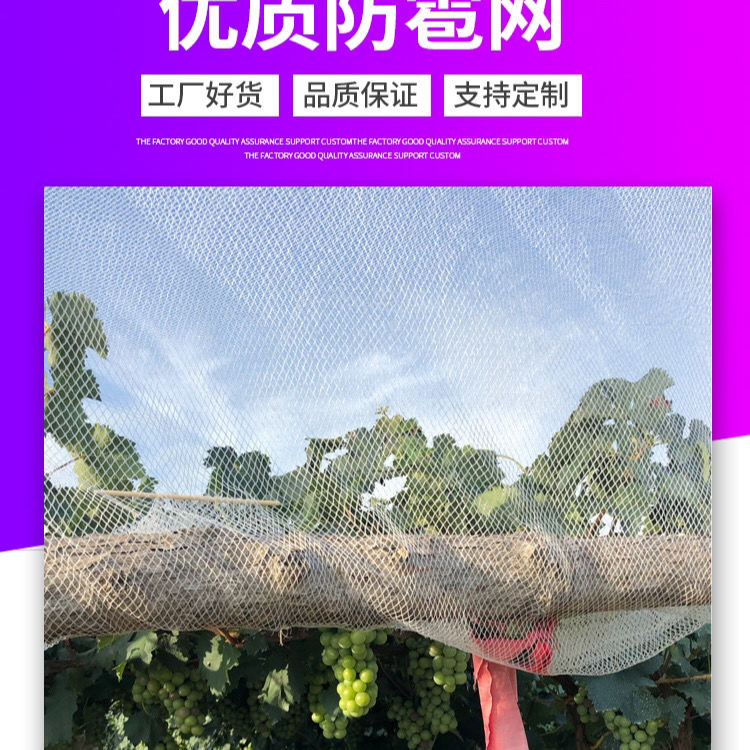 防冰雹网防鸟网苹果葡萄防雹网聚乙烯果园农田园艺无结防冰雹用品