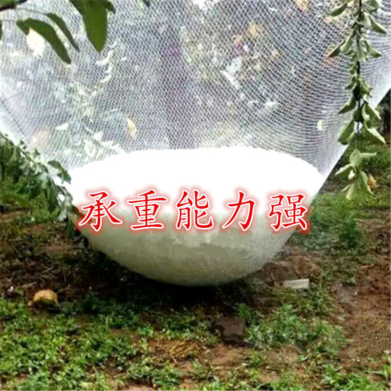 防冰雹网防鸟网苹果葡萄防雹网聚乙烯果园农田园艺无结防冰雹用品