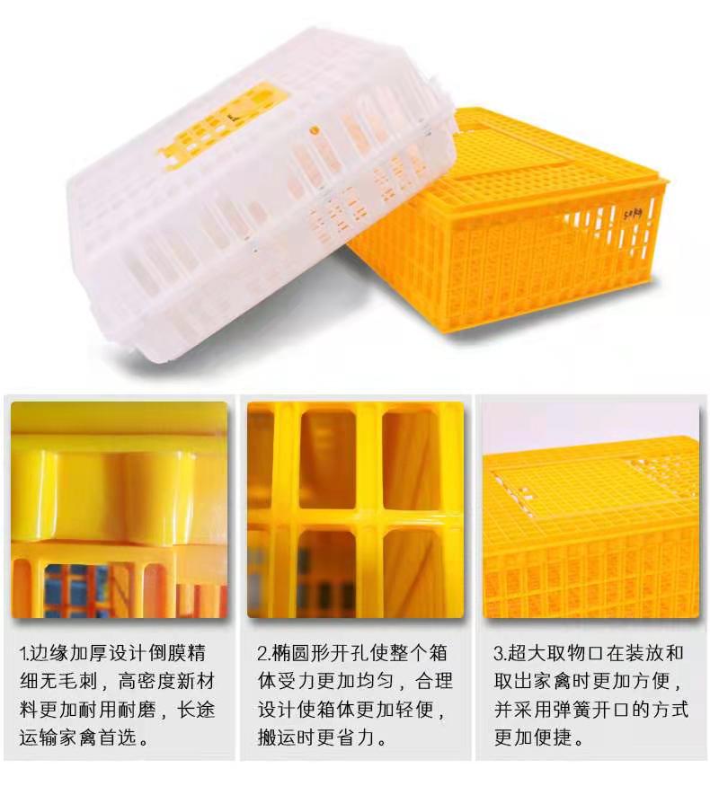 鹅笼15套活动甩单