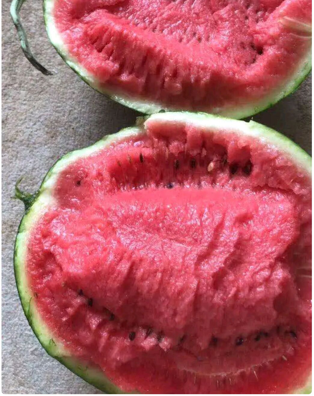 甜王西瓜  西瓜 甜王瓜 吊篮 8424瓜