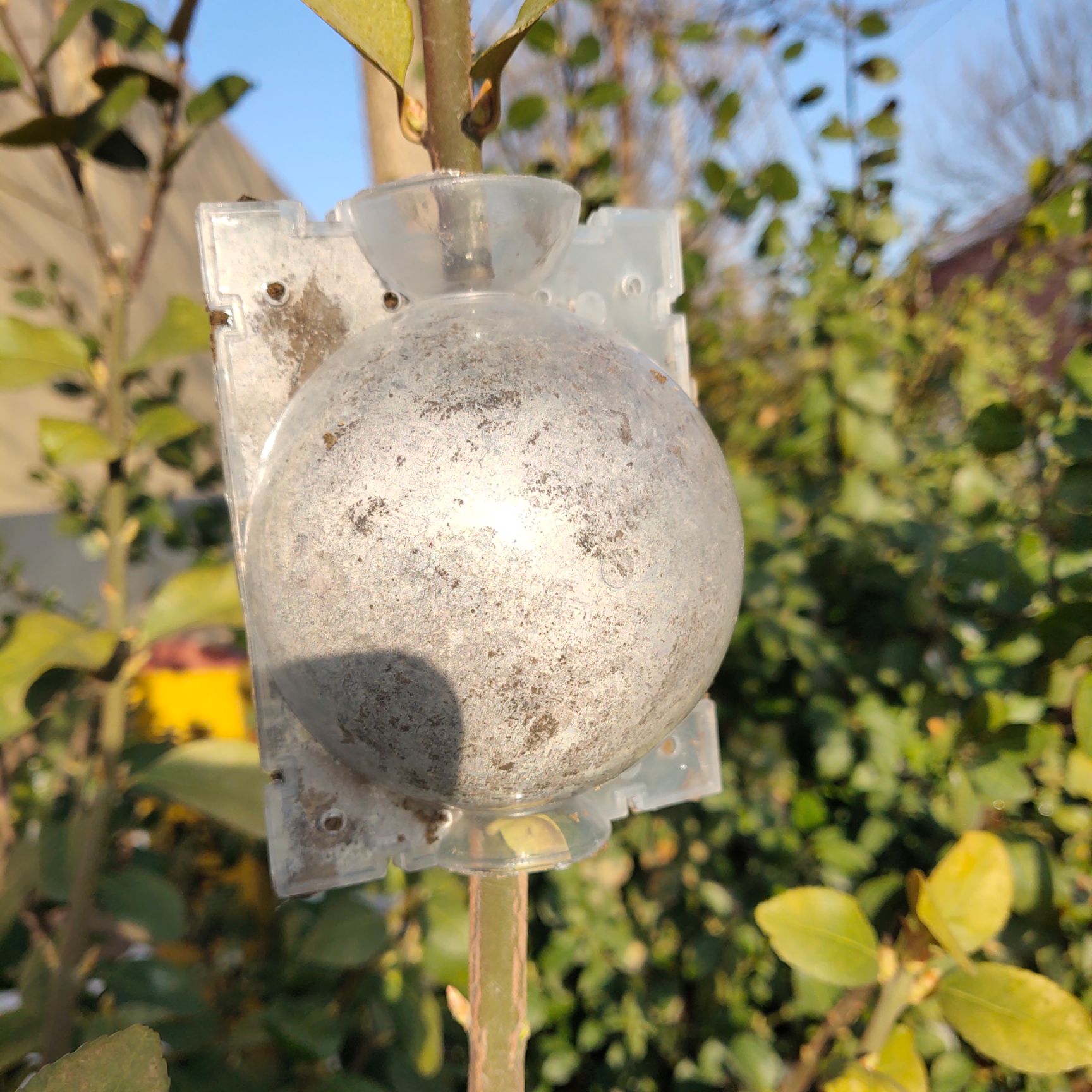 营养钵/营养杯  植物高压繁殖盒生根器果树扦插嫁接育苗生根盒枝生根繁殖器繁殖球