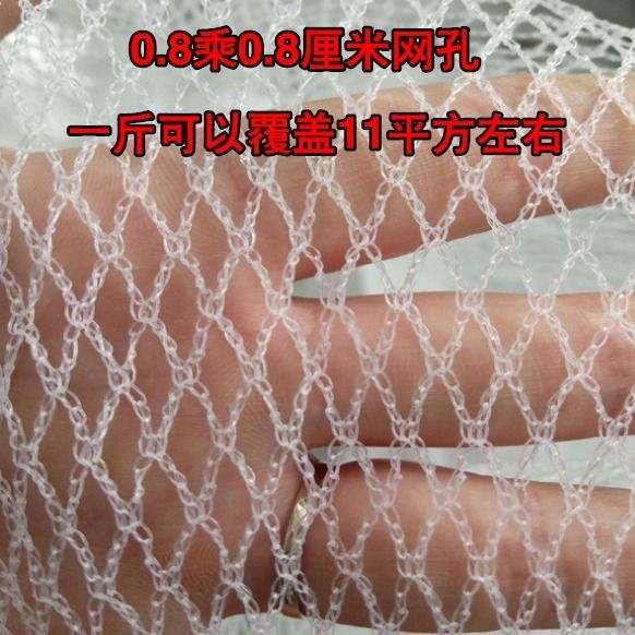 防冰雹网防鸟网苹果葡萄防雹网聚乙烯果园农田园艺无结防冰雹用品