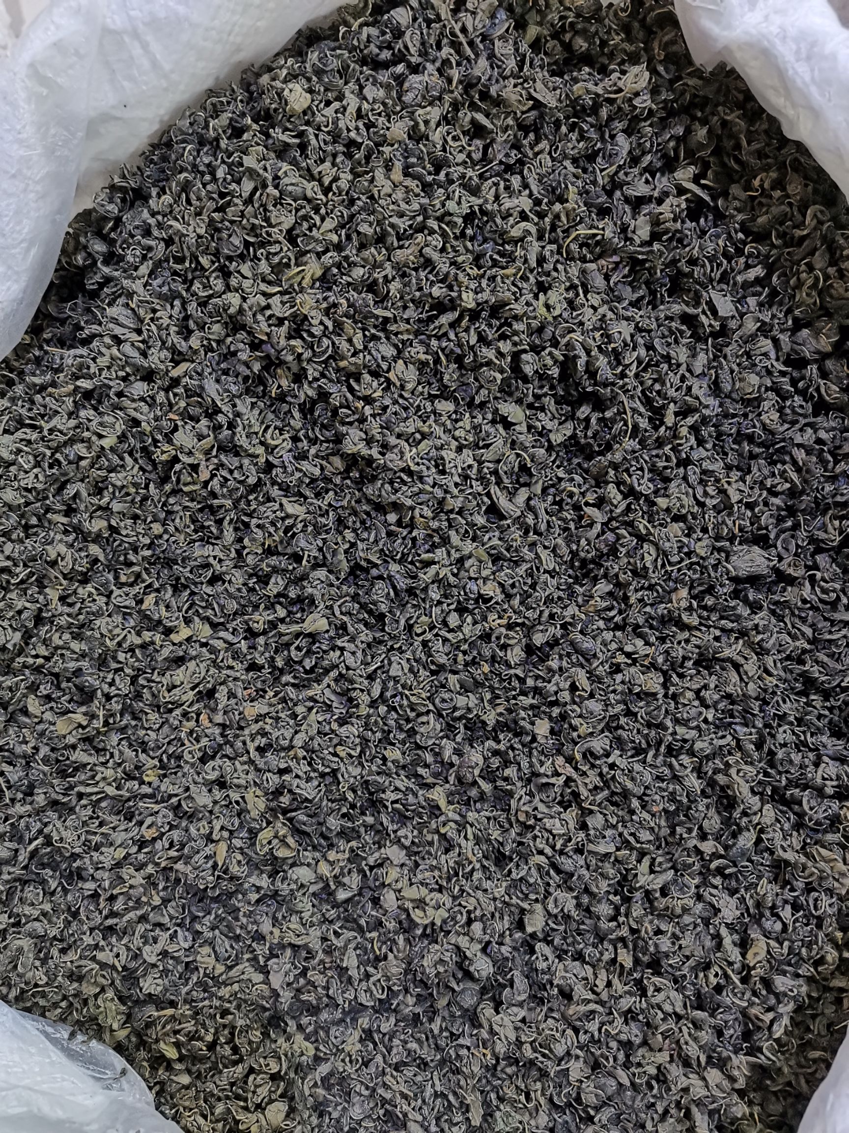 罗布麻红麻