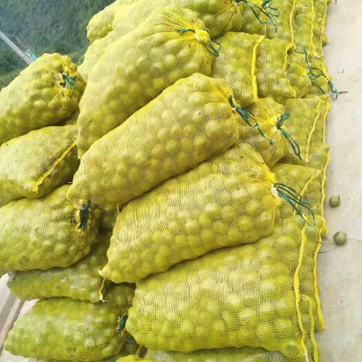 盐源县青皮核桃，上市早 仁香 价格美丽 香味好