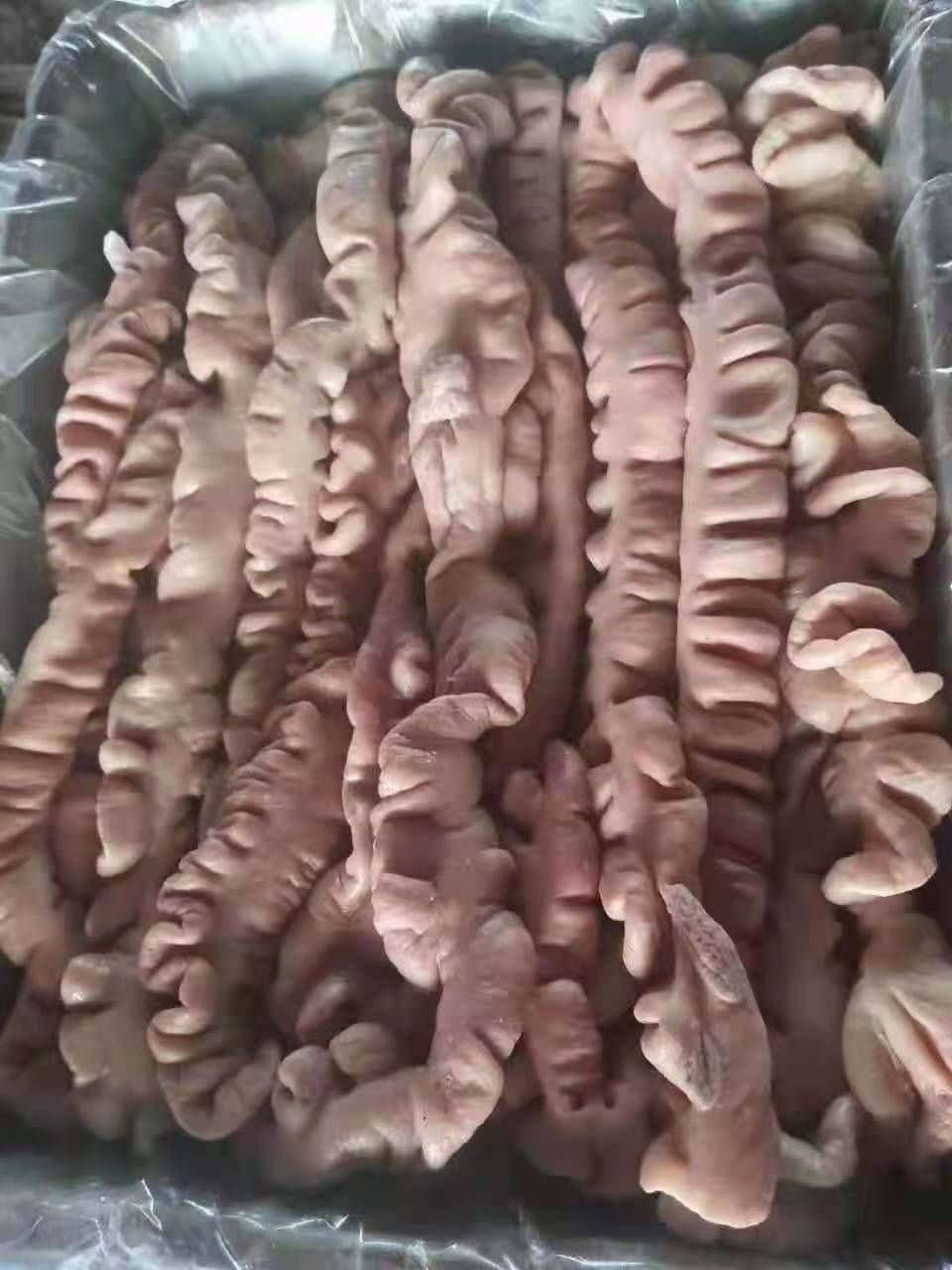 猪肠 预煮大肠，品质好，手续齐全