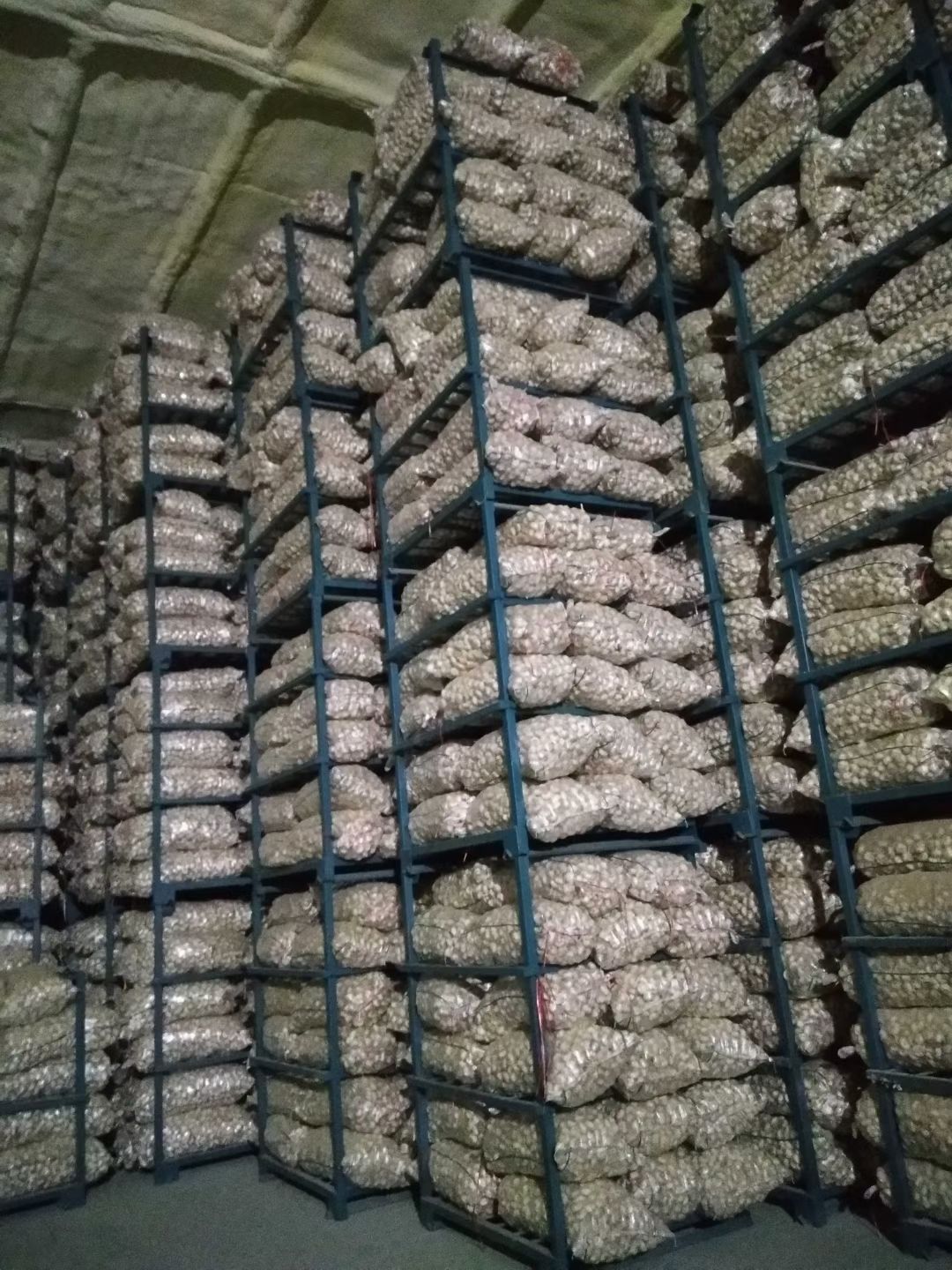 【推荐】2025金乡大蒜专业储存紫大蒜代收代存代发全国市场