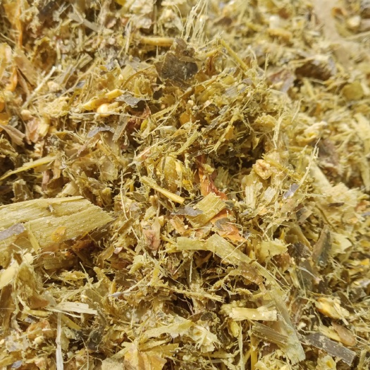 渭南玉米青贮 大量出售散货和打包好的带棒青储草需要的抓紧时间