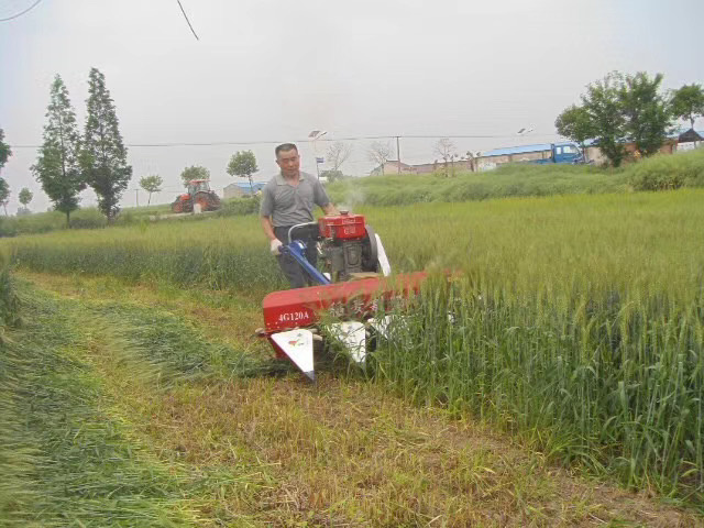 沂南县 收割机 自走式小麦水稻收割机割晒机