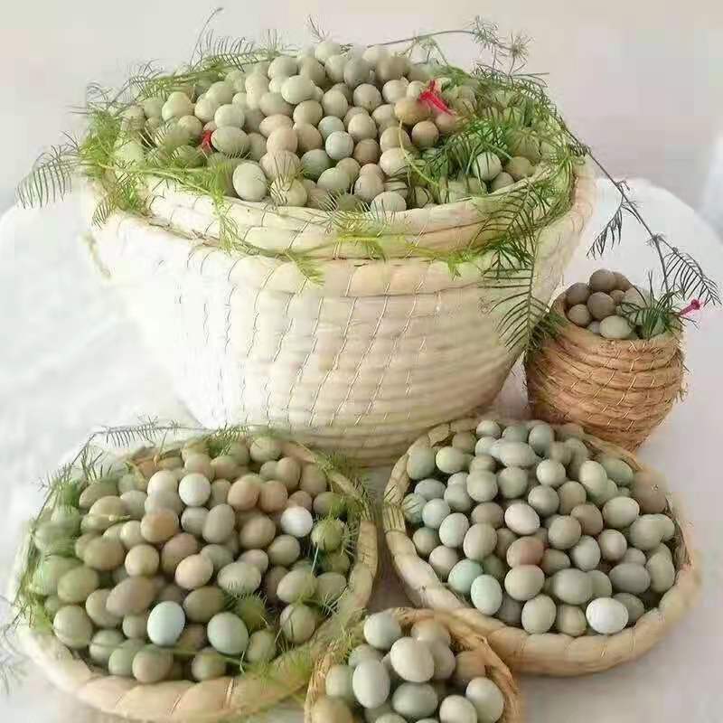 芦丁鸡 2斤以下 统货