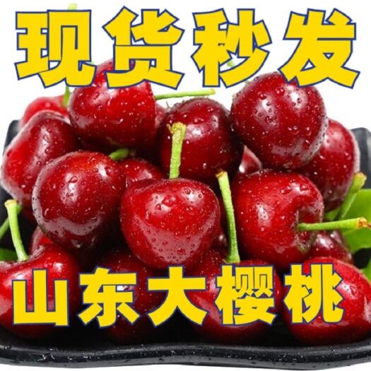 新泰市美早樱桃 山东省泰安市新泰市 一级 