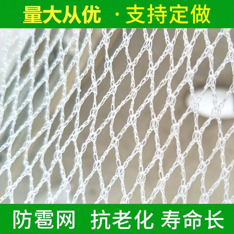 防冰雹网防鸟网苹果葡萄防雹网聚乙烯果园农田园艺无结防冰雹用品