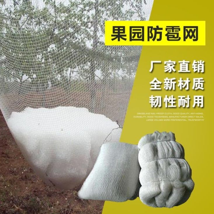 防冰雹网防鸟网苹果葡萄防雹网聚乙烯果园农田园艺无结防冰雹用品