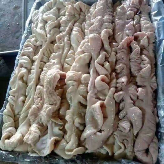 上林县猪肠 预煮大肠，品质好，手续齐全