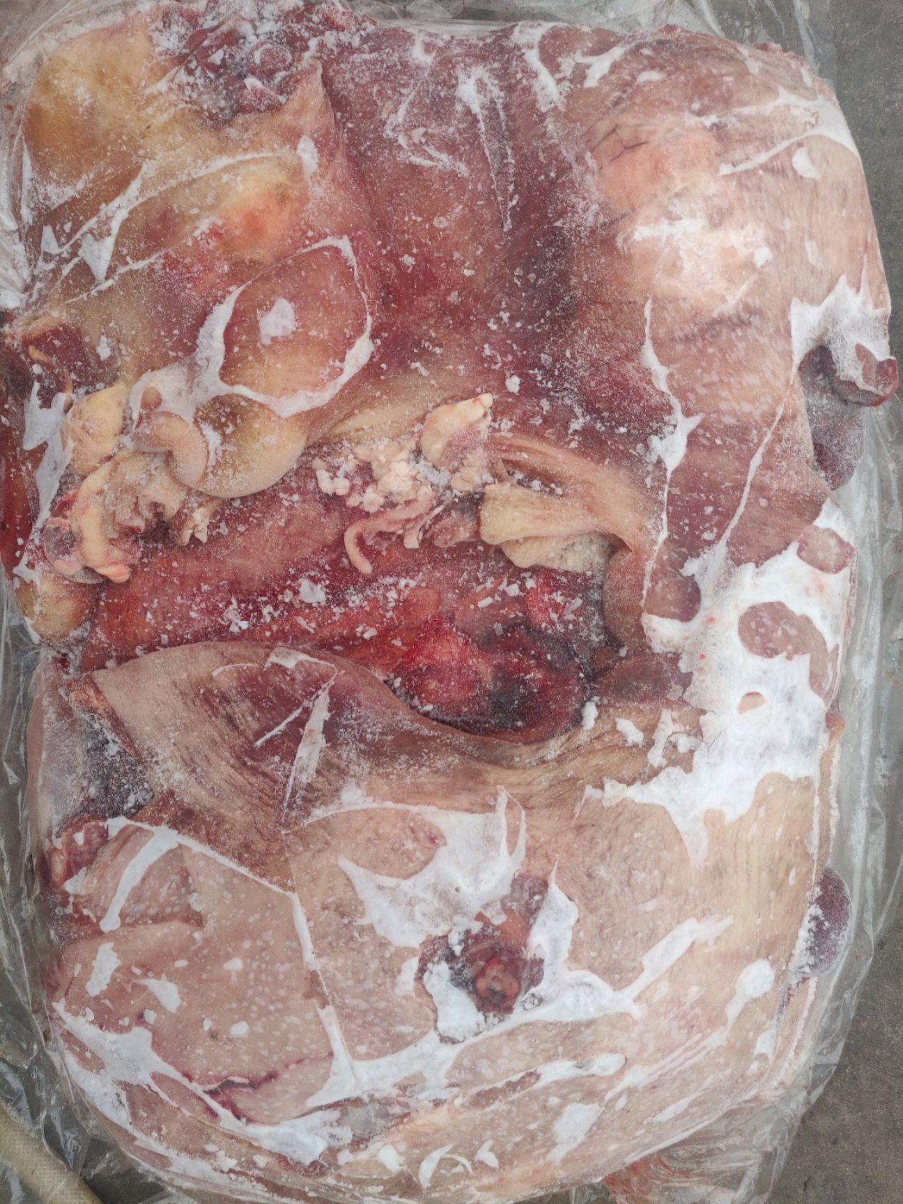 牛杂  厂家直销精品纯干牛胎盘