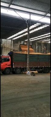 20214优等级 软质小麦 黄麦 白麦