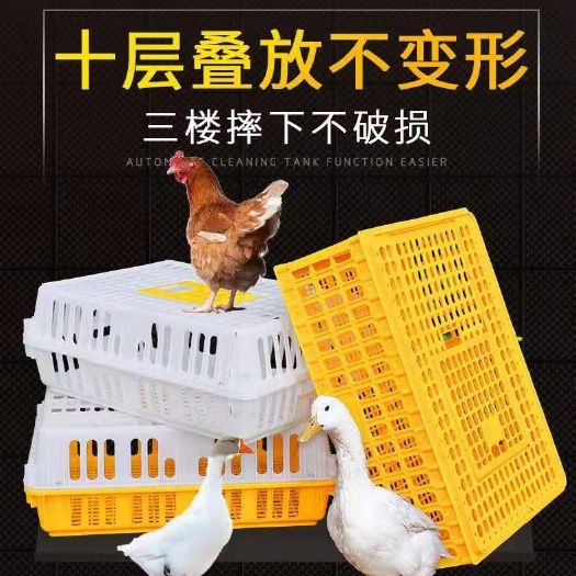 南皮县鹅笼15套活动甩单