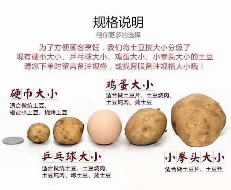 迷你土豆  恩施富硒老品种黄心小土豆，又名马尔科