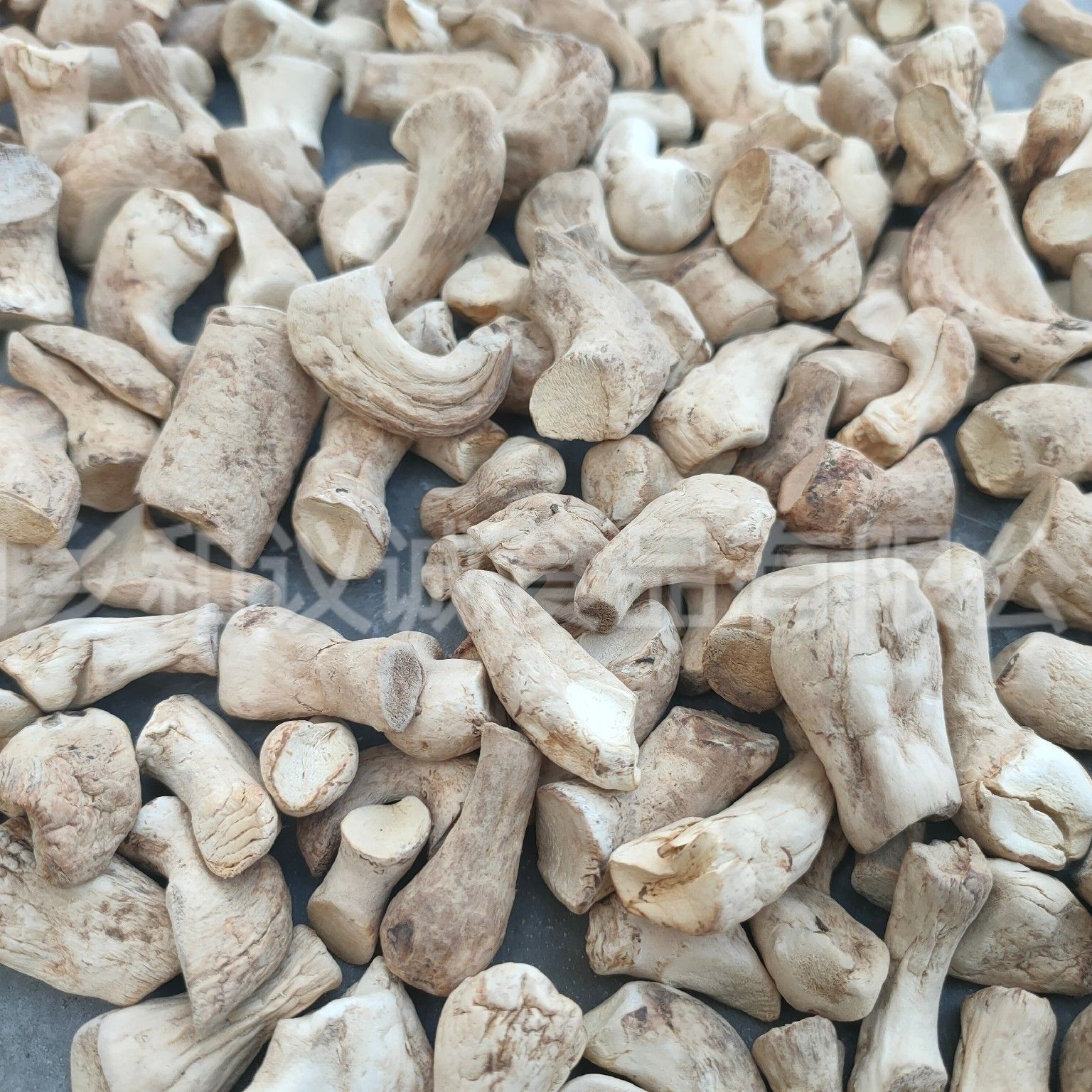 香菇脚干货长期供应香菇脚手挑货 干净无杂质98%净度厂家供应