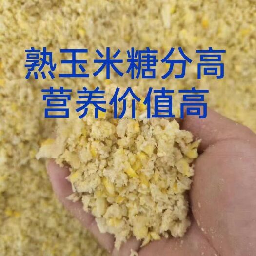 宁津县干玉米  碎玉米 熟玉米，营养价值高，含糖量高，增肥快。适合鸡鸭鹅猪牛