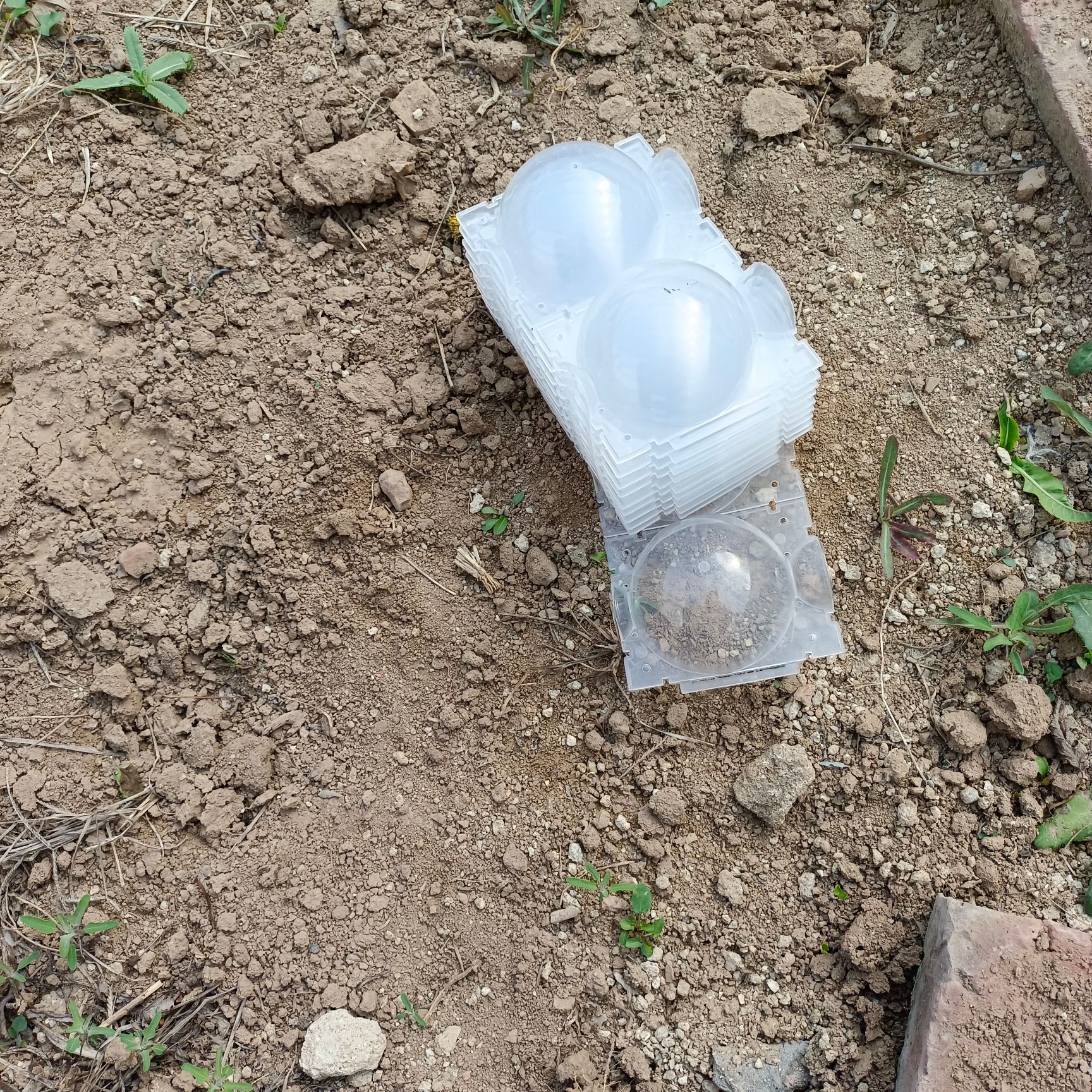 营养钵/营养杯  植物高压繁殖盒生根器果树扦插嫁接育苗生根盒枝生根繁殖器繁殖球