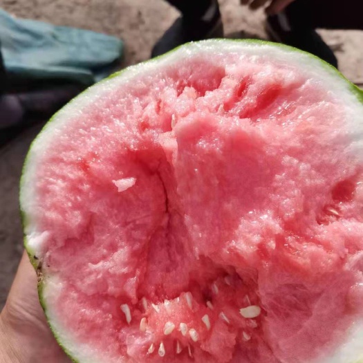 夏邑县河南夏邑精品美都8424麒麟西瓜，