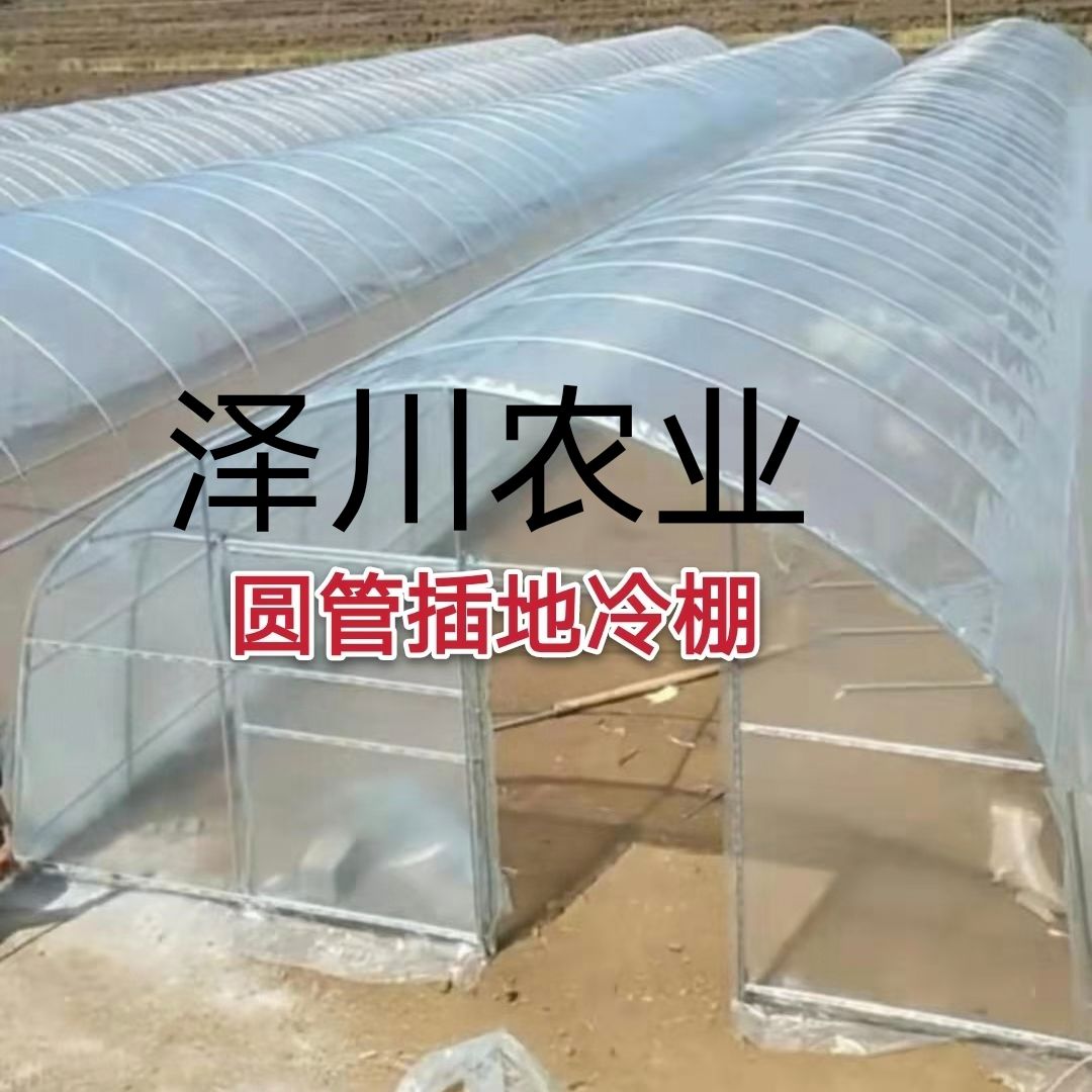 温室大棚 日光温室 薄膜温室 玻璃温室