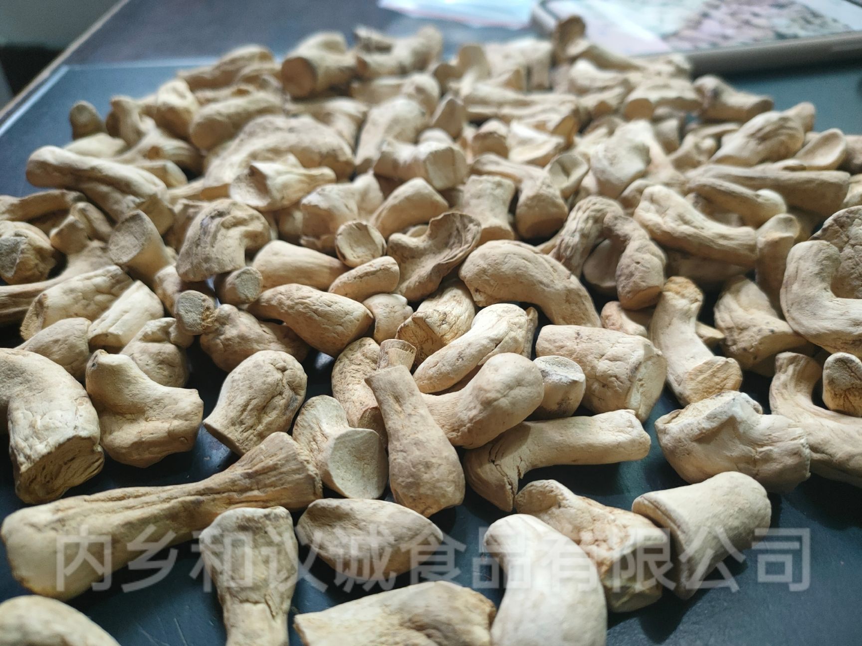 香菇脚干货长期供应香菇脚手挑货 干净无杂质98%净度厂家供应