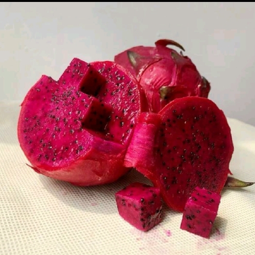 遂溪县红心火龙果